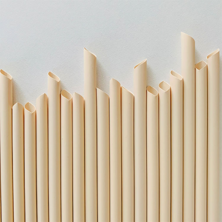 Eco Friendly Bamboo Fiber Straws