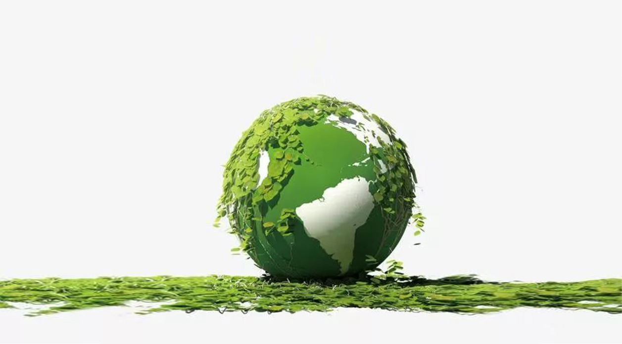 Contenitori per alimenti biodegradabili Fpacksolution